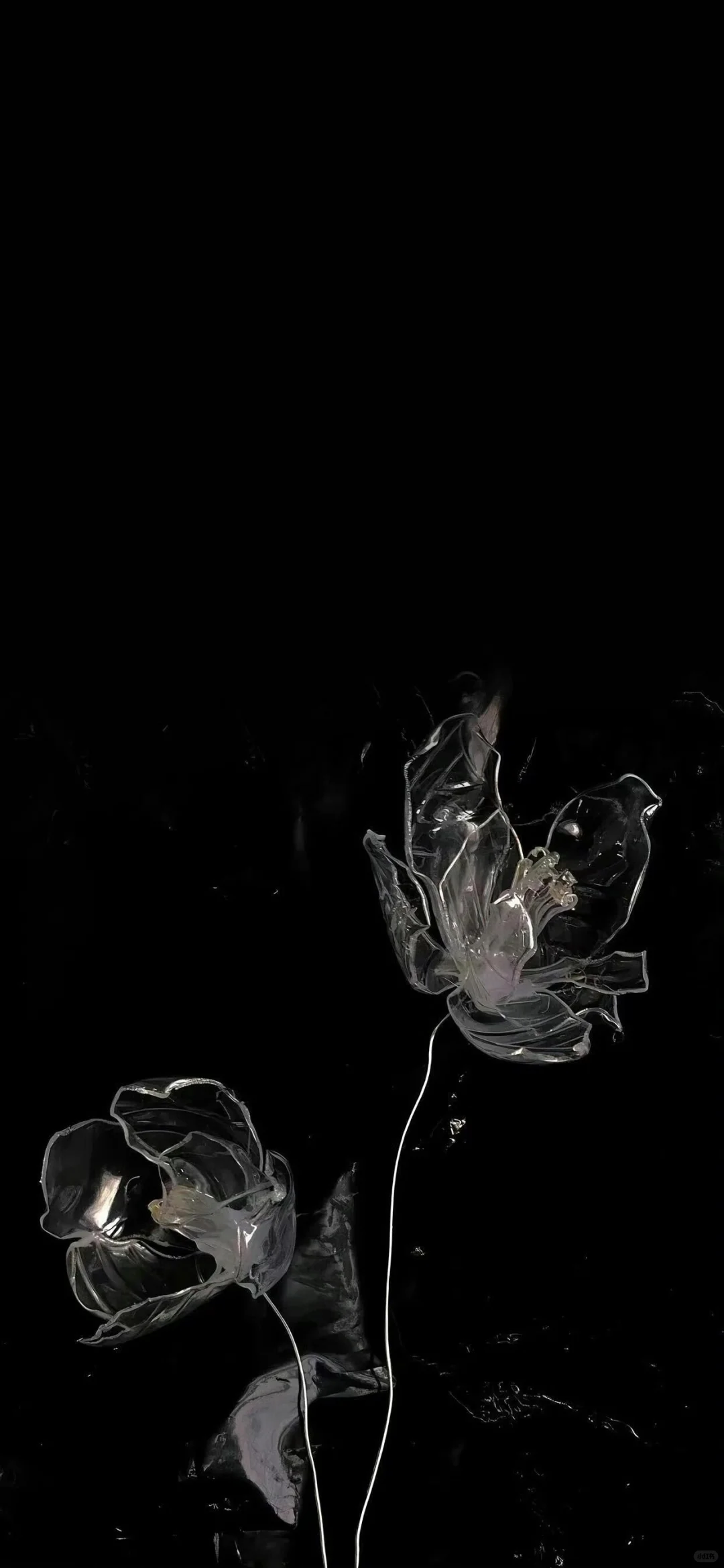 𝙒𝙚𝘾𝙝𝙖𝙩｜ins小众高级感手机壁纸📱