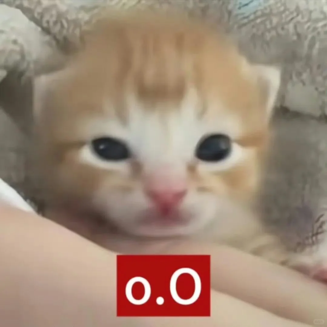 我太爱这种小猫表情包了！5⃣️3⃣️