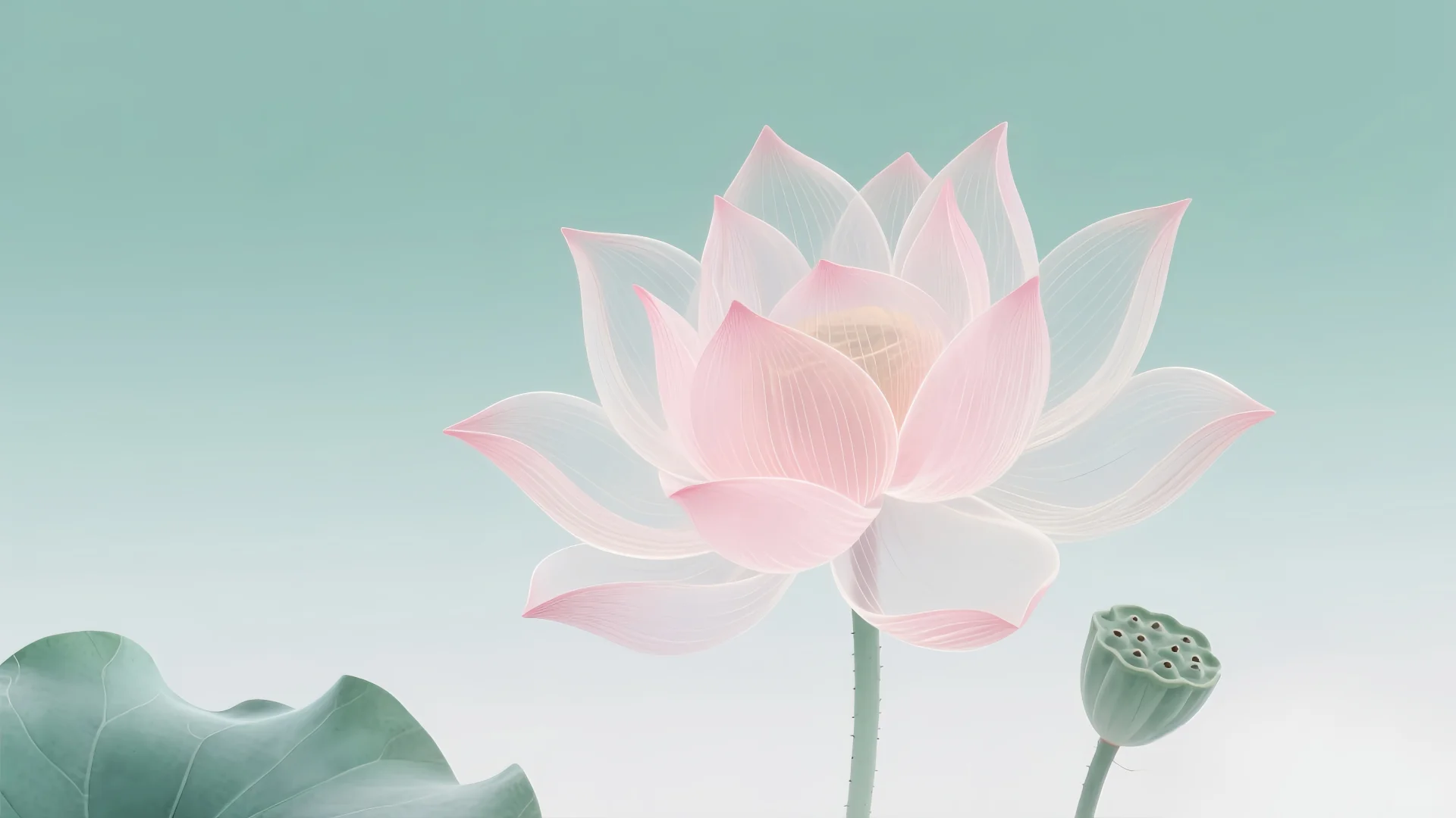 🪷电脑壁纸丨国风荷韵，好事莲莲