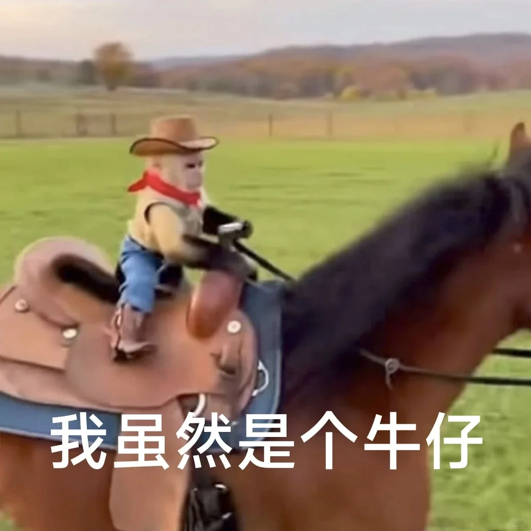 实用表情包合集