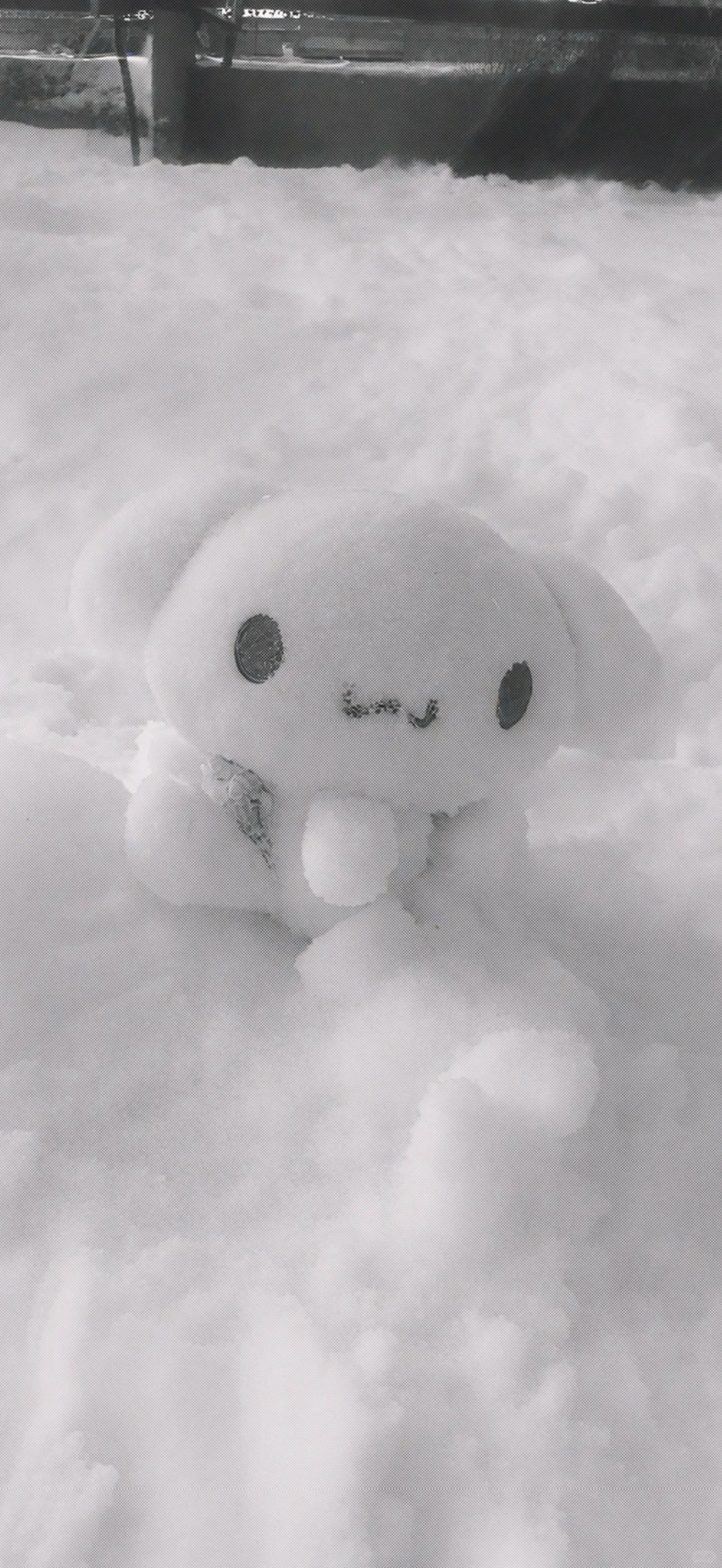 冬日序曲·氛围感壁纸