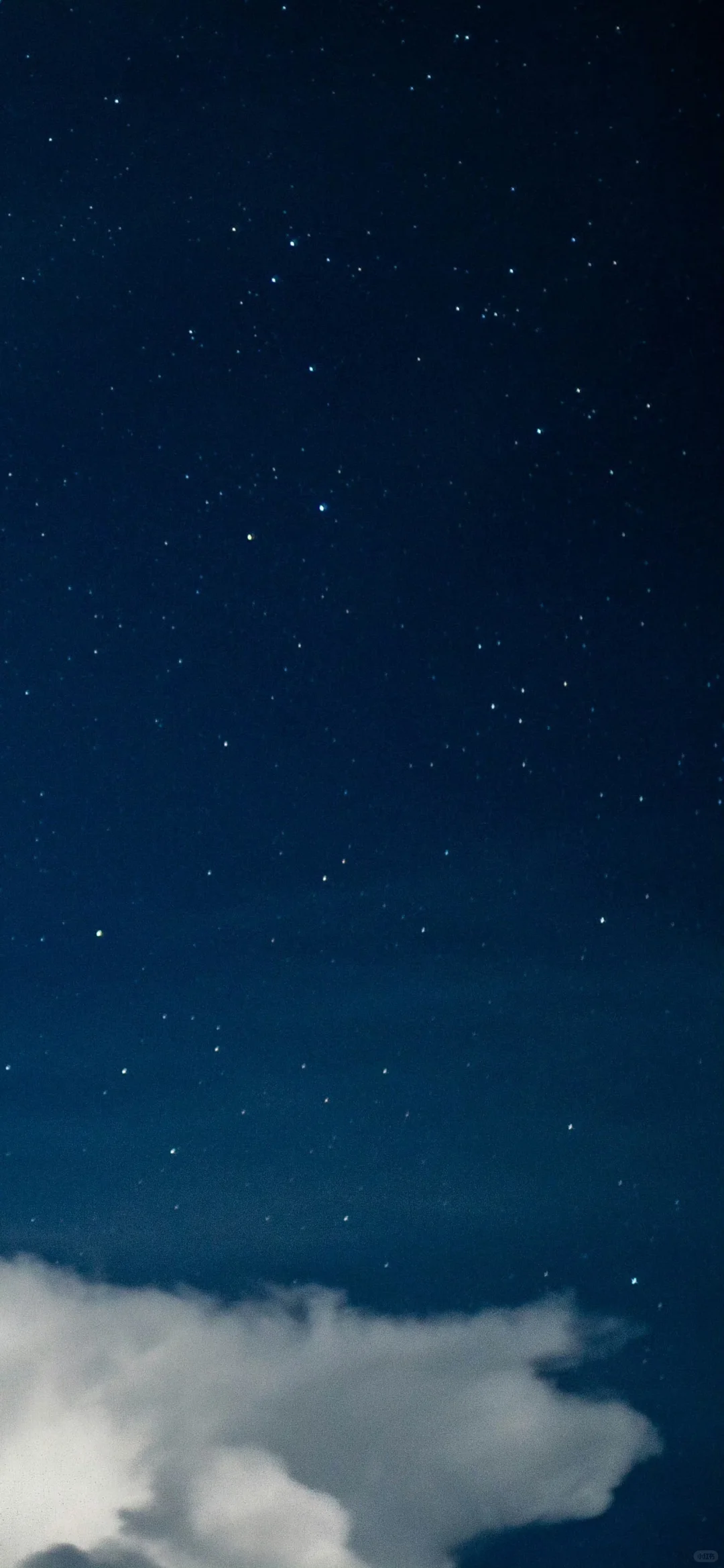 一组及其小众的壁纸