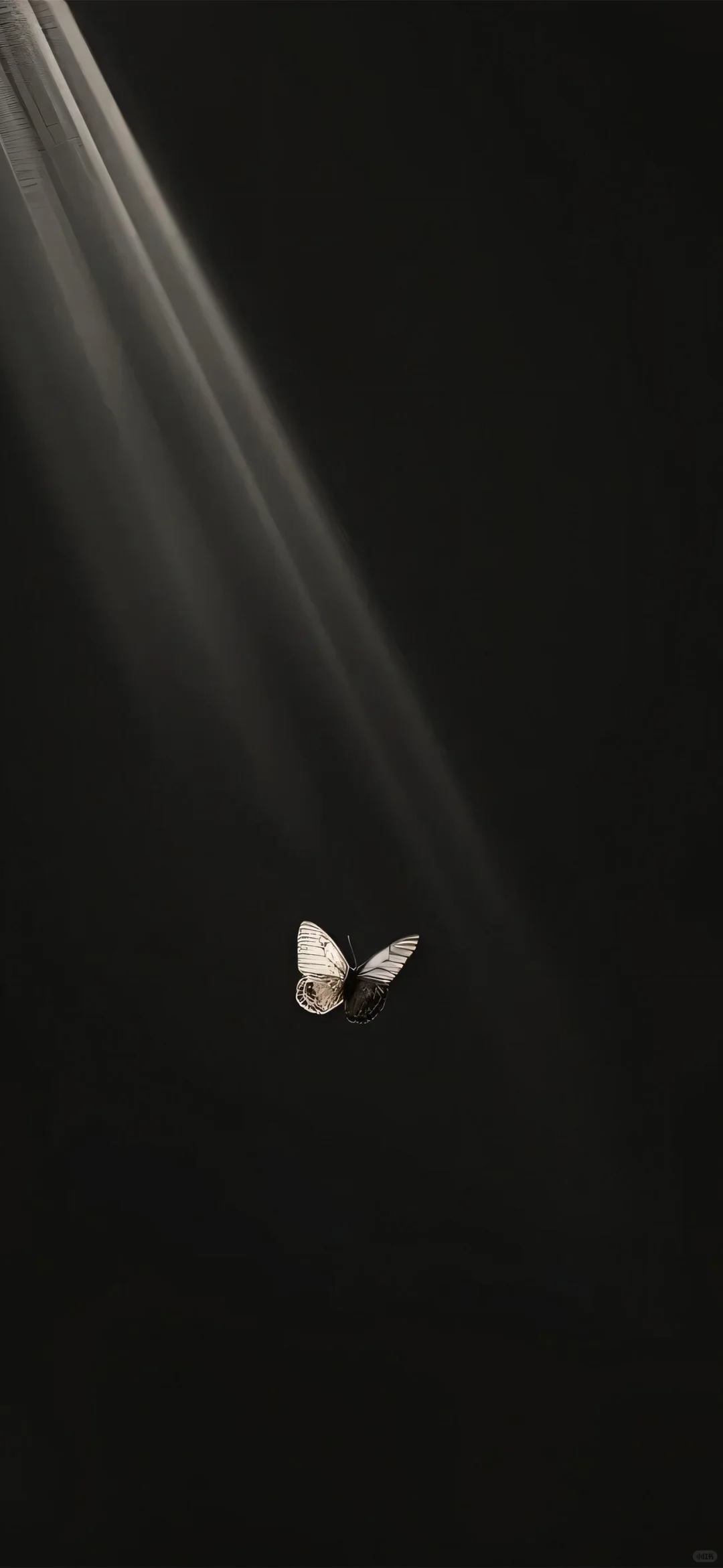 𝙞𝙣𝙨小众高级感黑色系手机壁纸📱