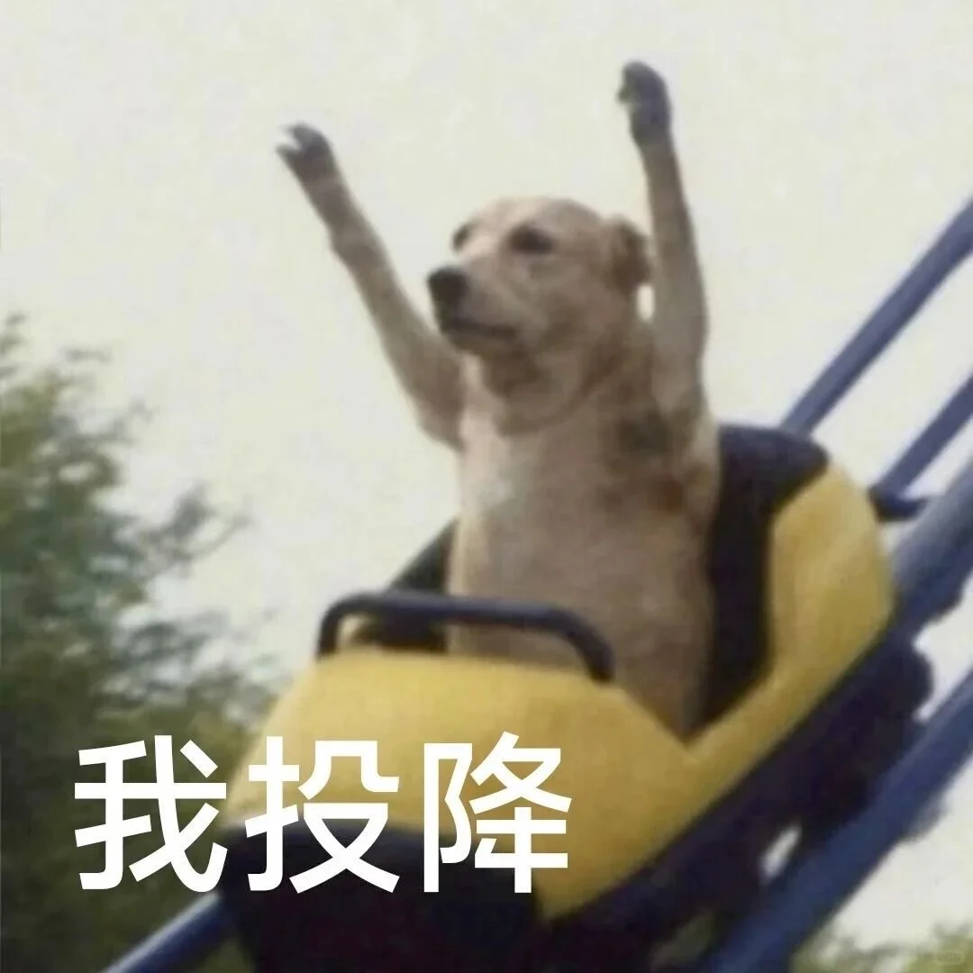 审美积累小众表情包第二弹✌️