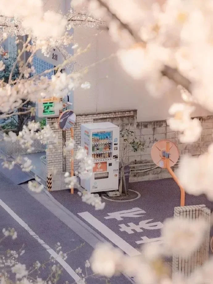 日系壁纸：今天的壁纸被风景包围了！