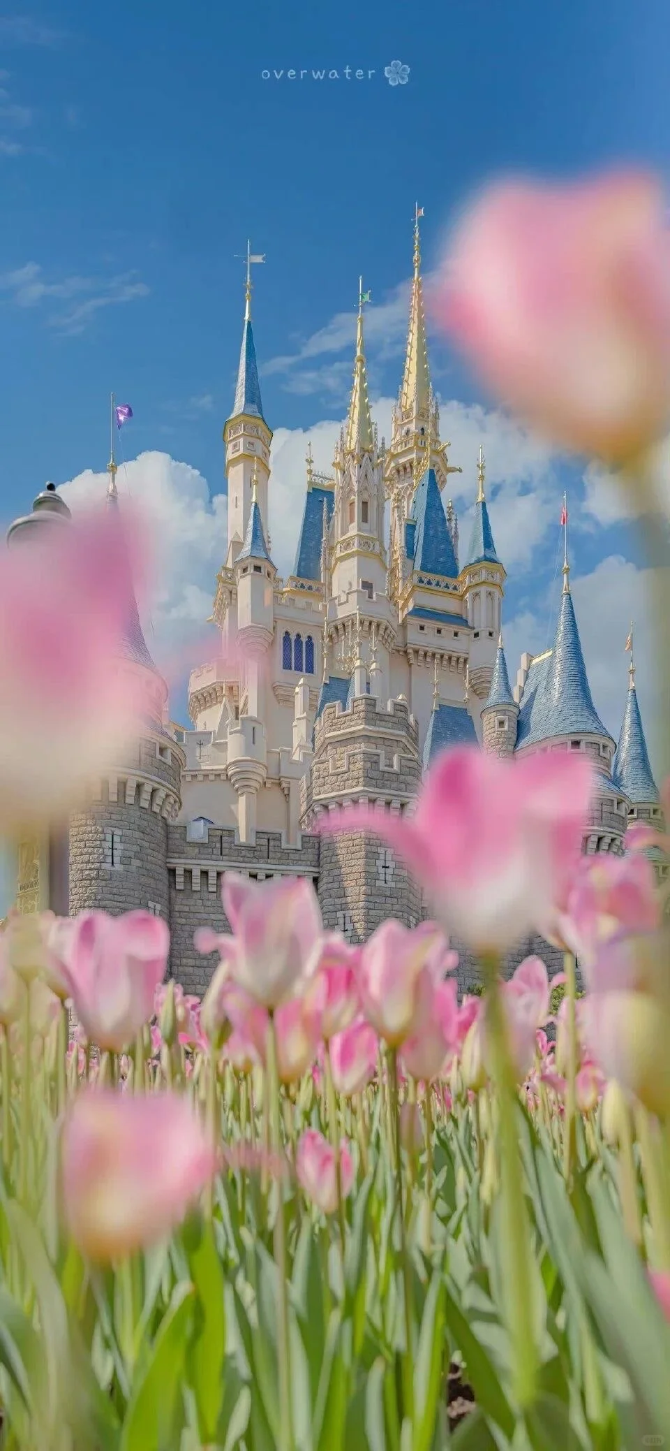 小众背景图/治愈系