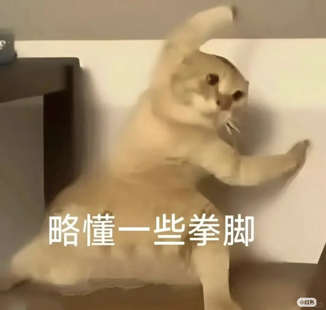 最上头的表情包！