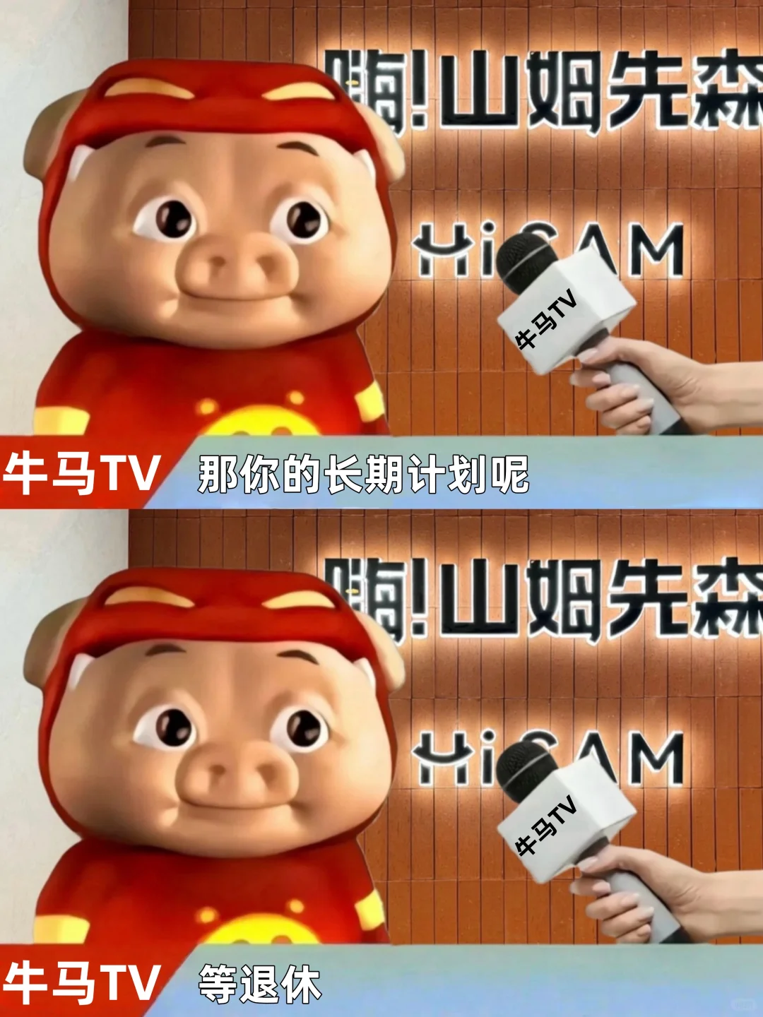 男神猪猪侠的清醒发言🧱