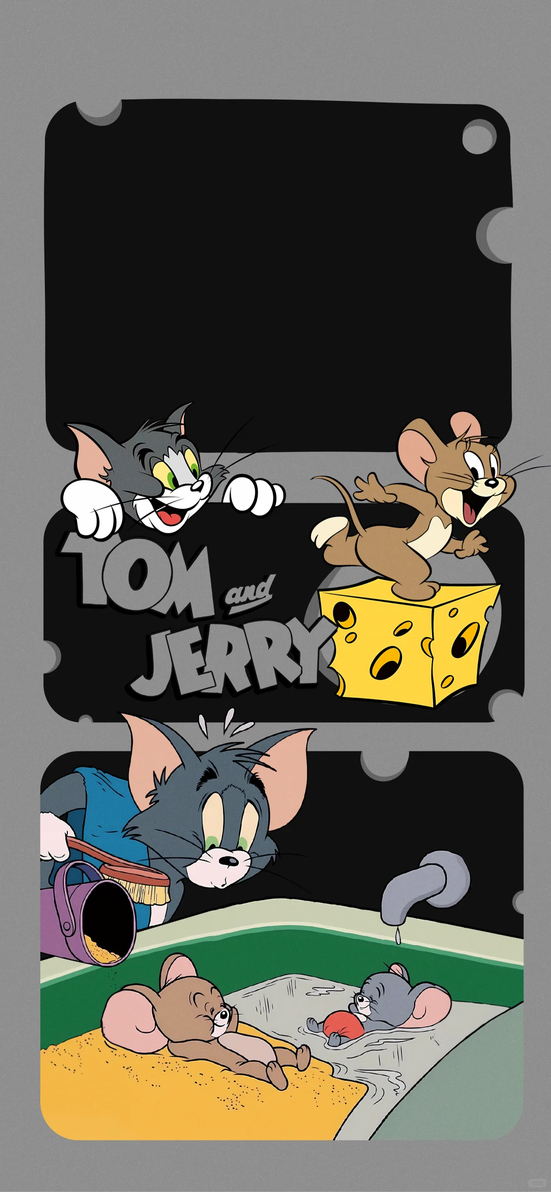 Tom and Jerry🐱🐭汤姆灰