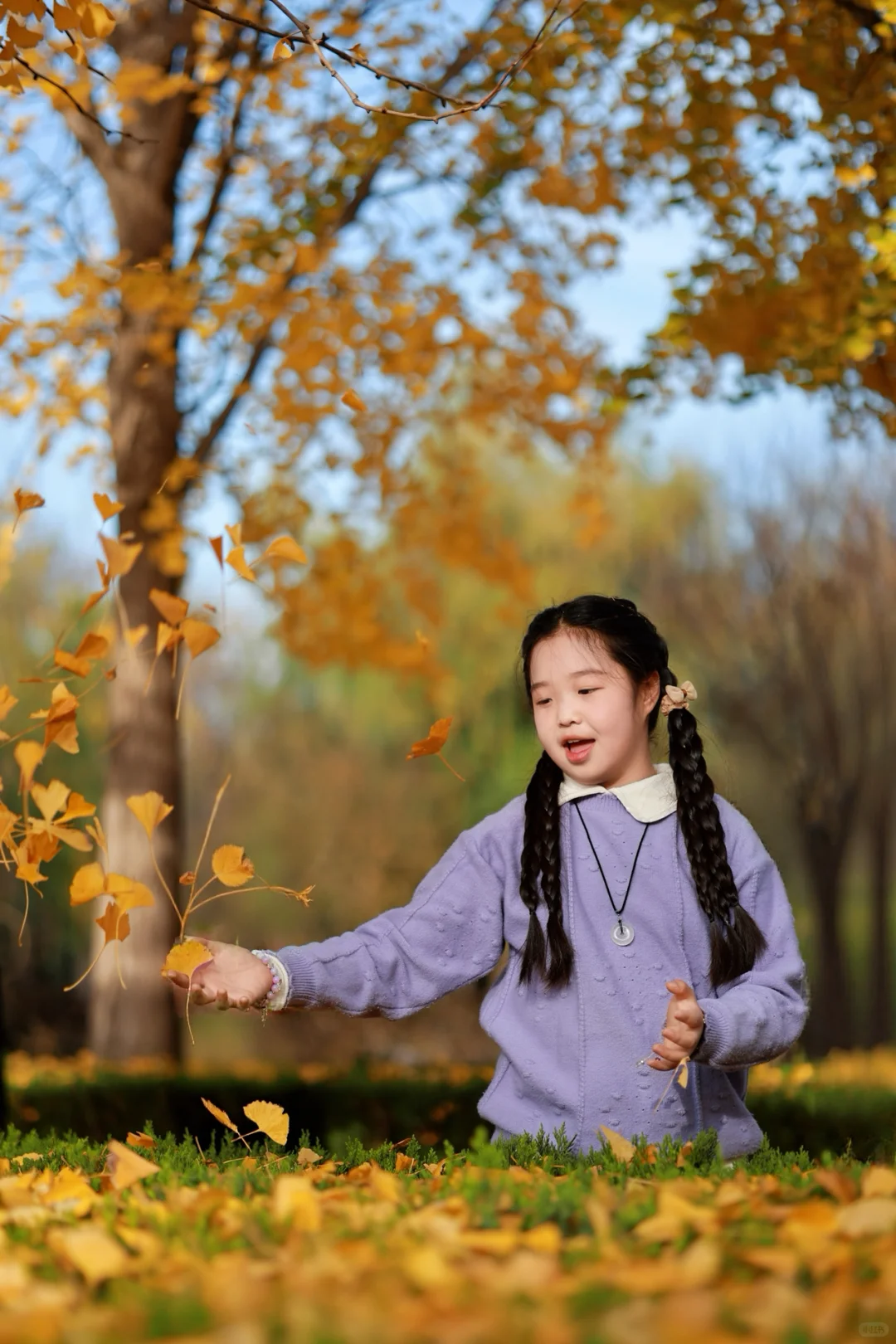 洛阳约拍｜儿童秋日户外写真