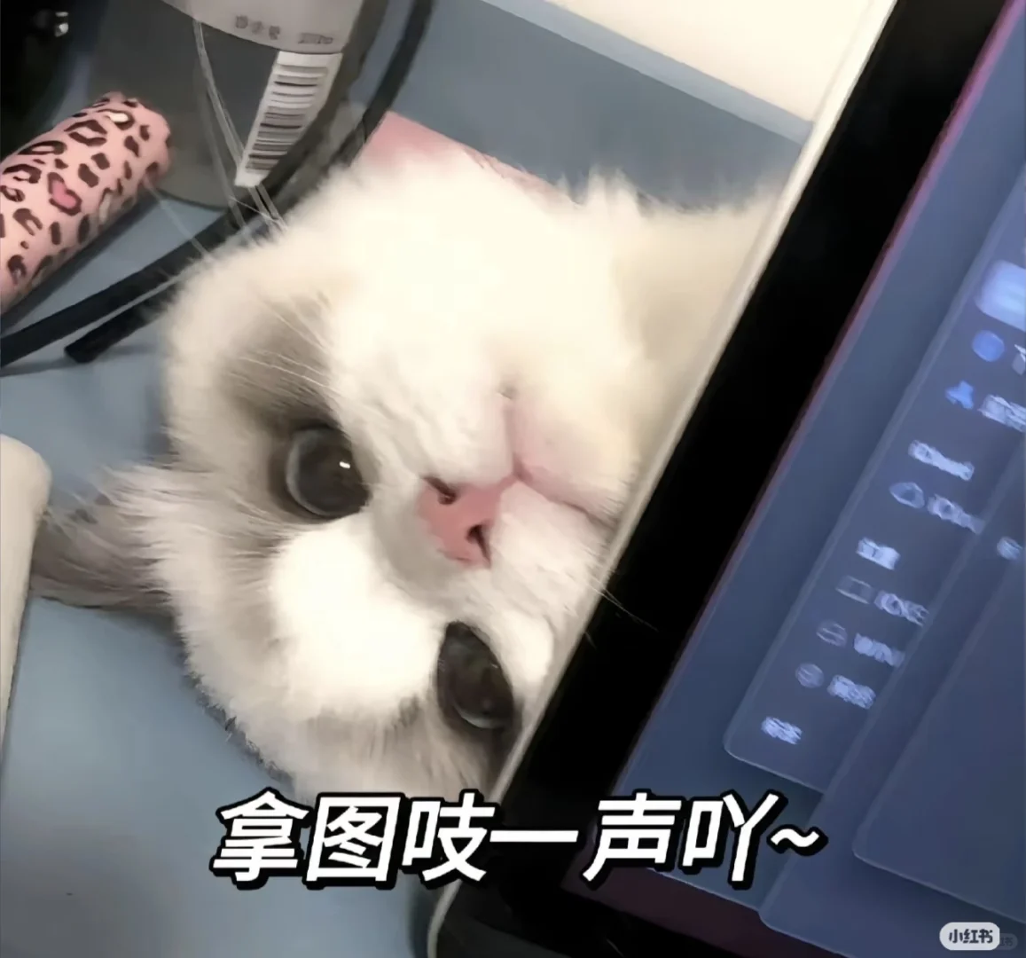 最上头的表情包！