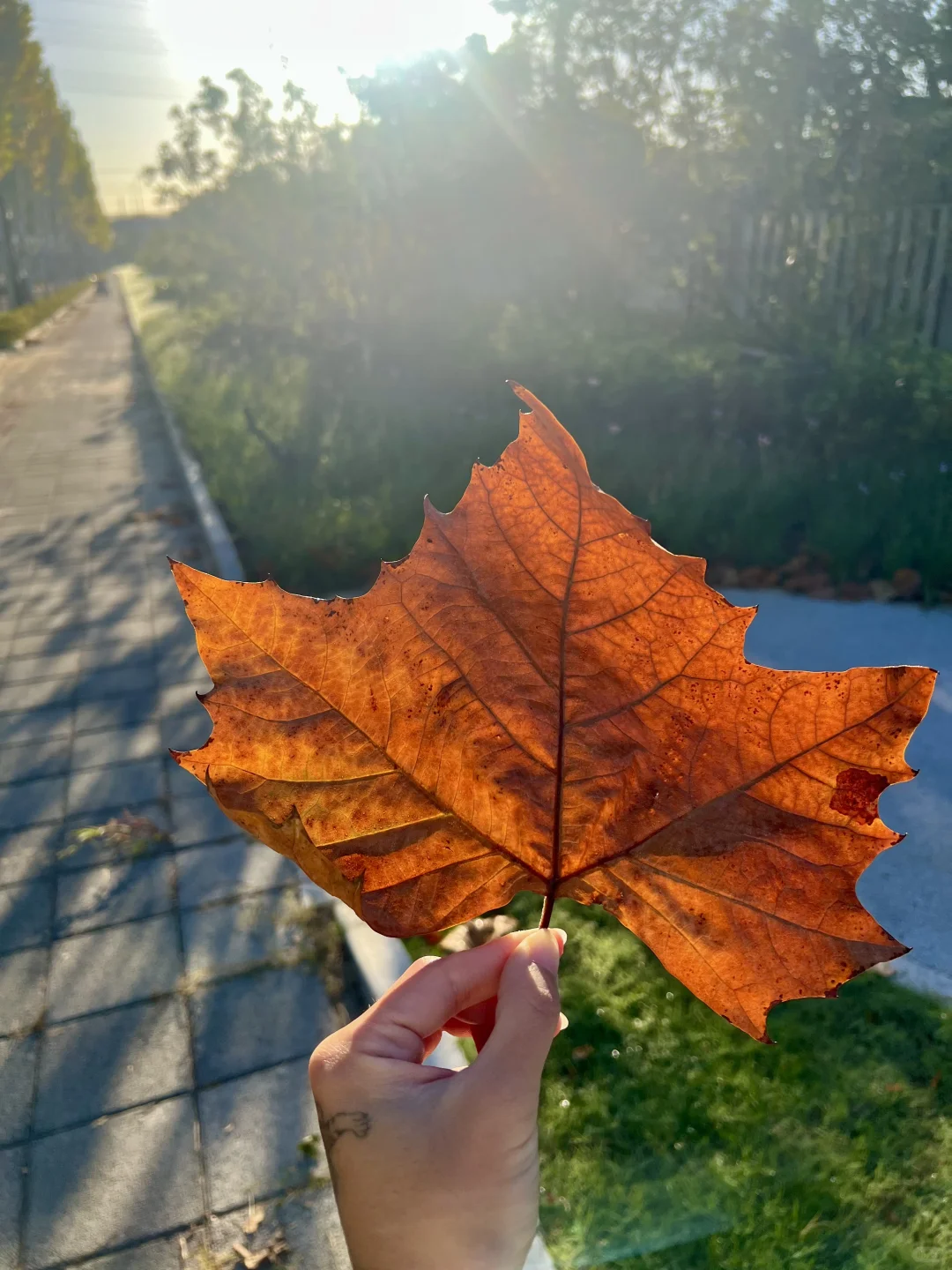 晨跑10km｜40岁坚持跑步的女人 到底有多迷人