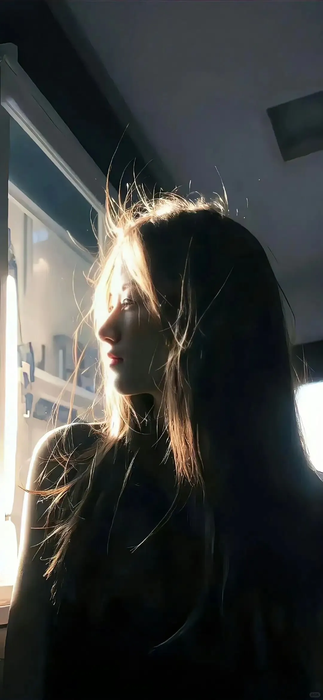 ins风壁纸来袭！！！