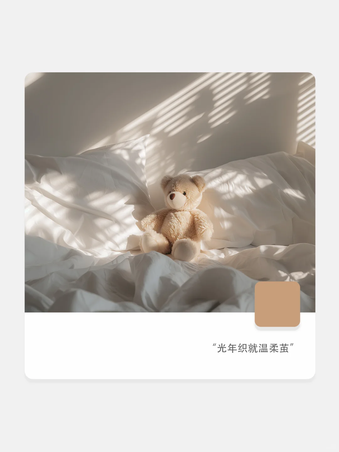 阳光吻过的泰迪早安熊🧸 | 治愈系壁纸