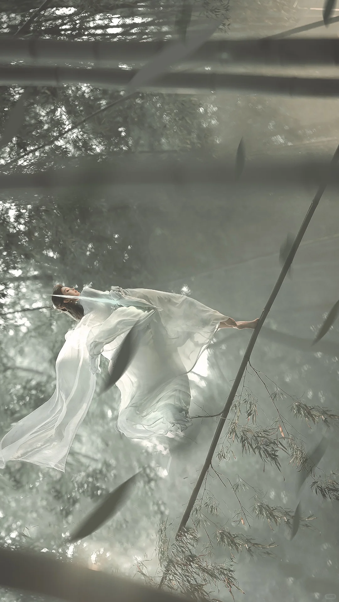 一袭青衣，竹林剑仙