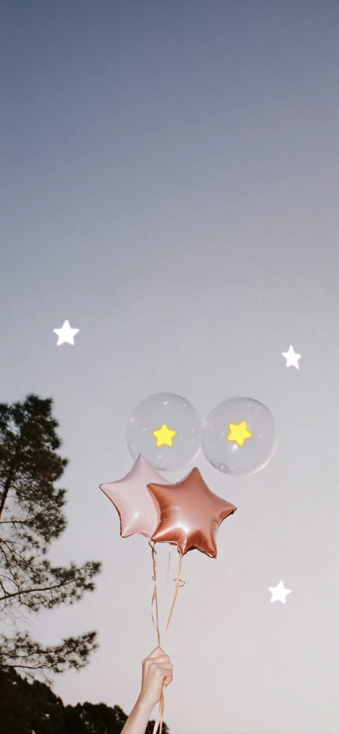 20251119手机壁纸｜收集壁纸时间～