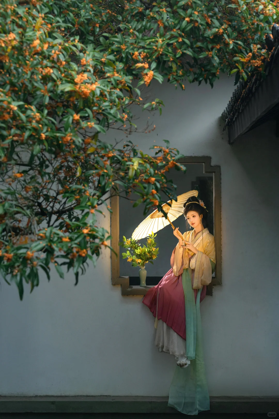 落花时节又逢君~