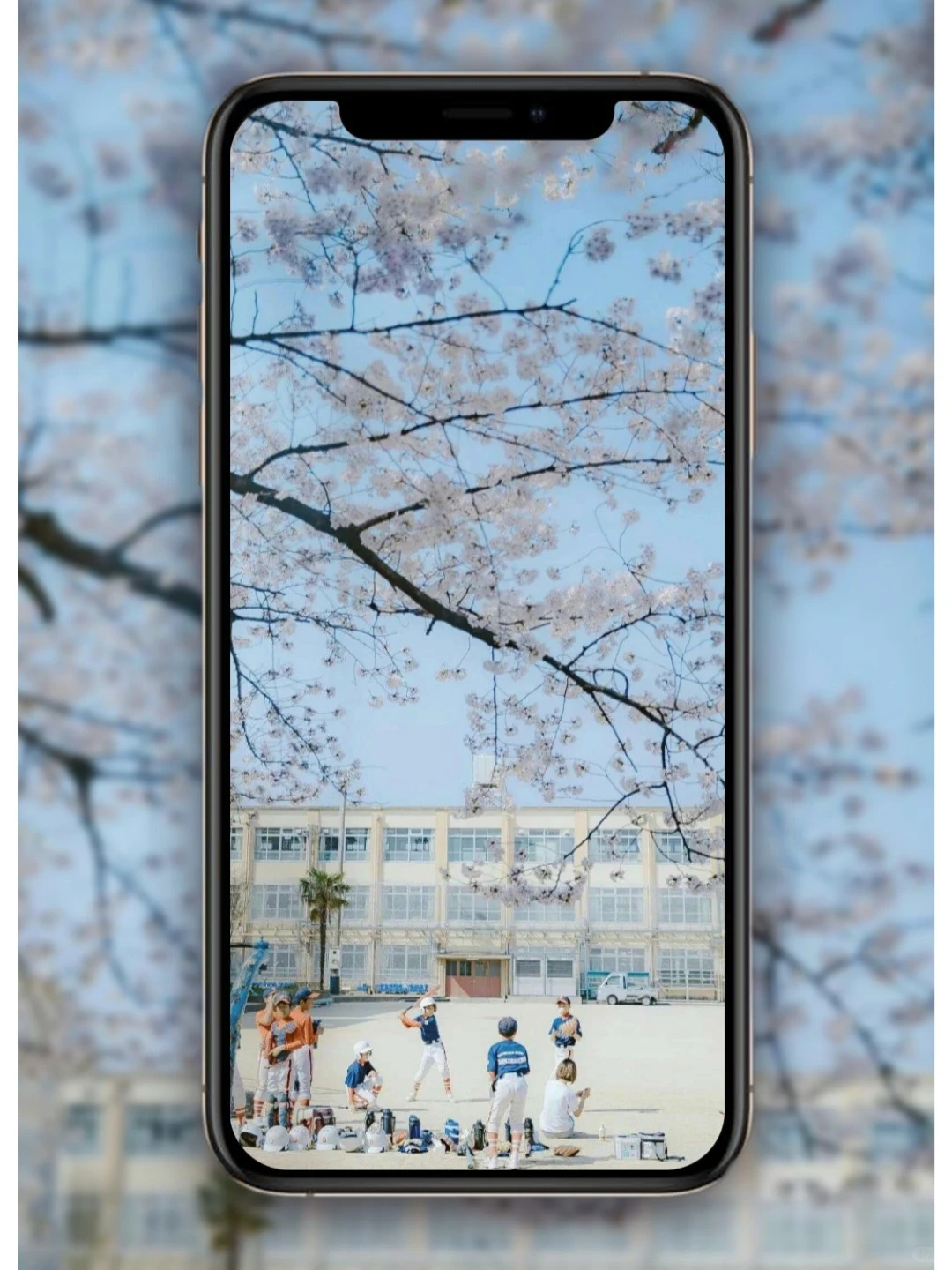 【10期】 日式风治愈系壁纸🌈