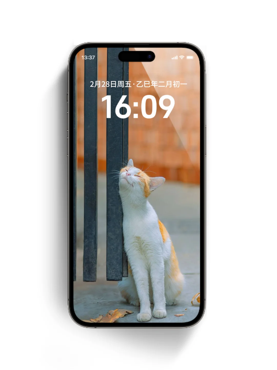 壁纸｜每日高清