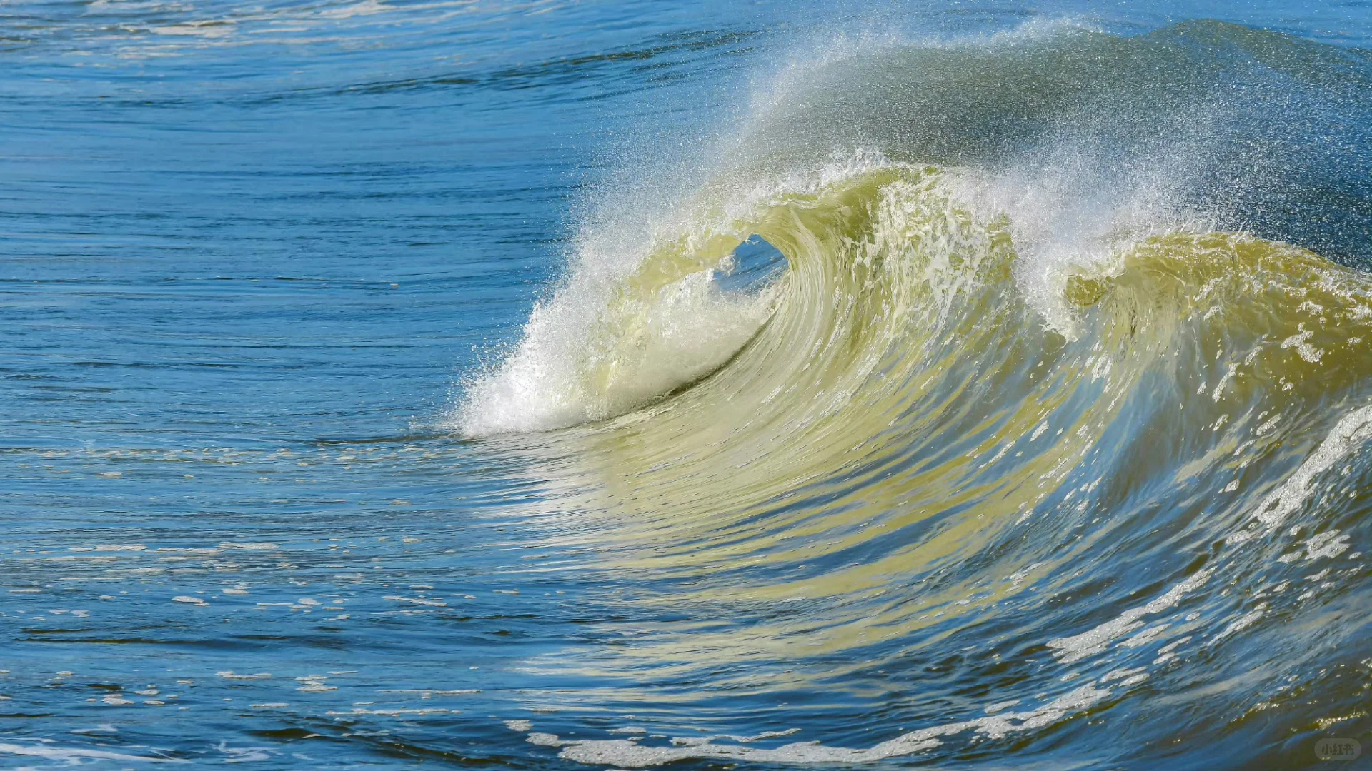 电脑屏幕壁纸（10张☀️）