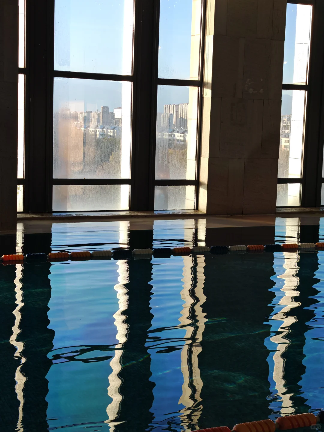 游泳小白必看！5个技巧轻松解锁水中自由