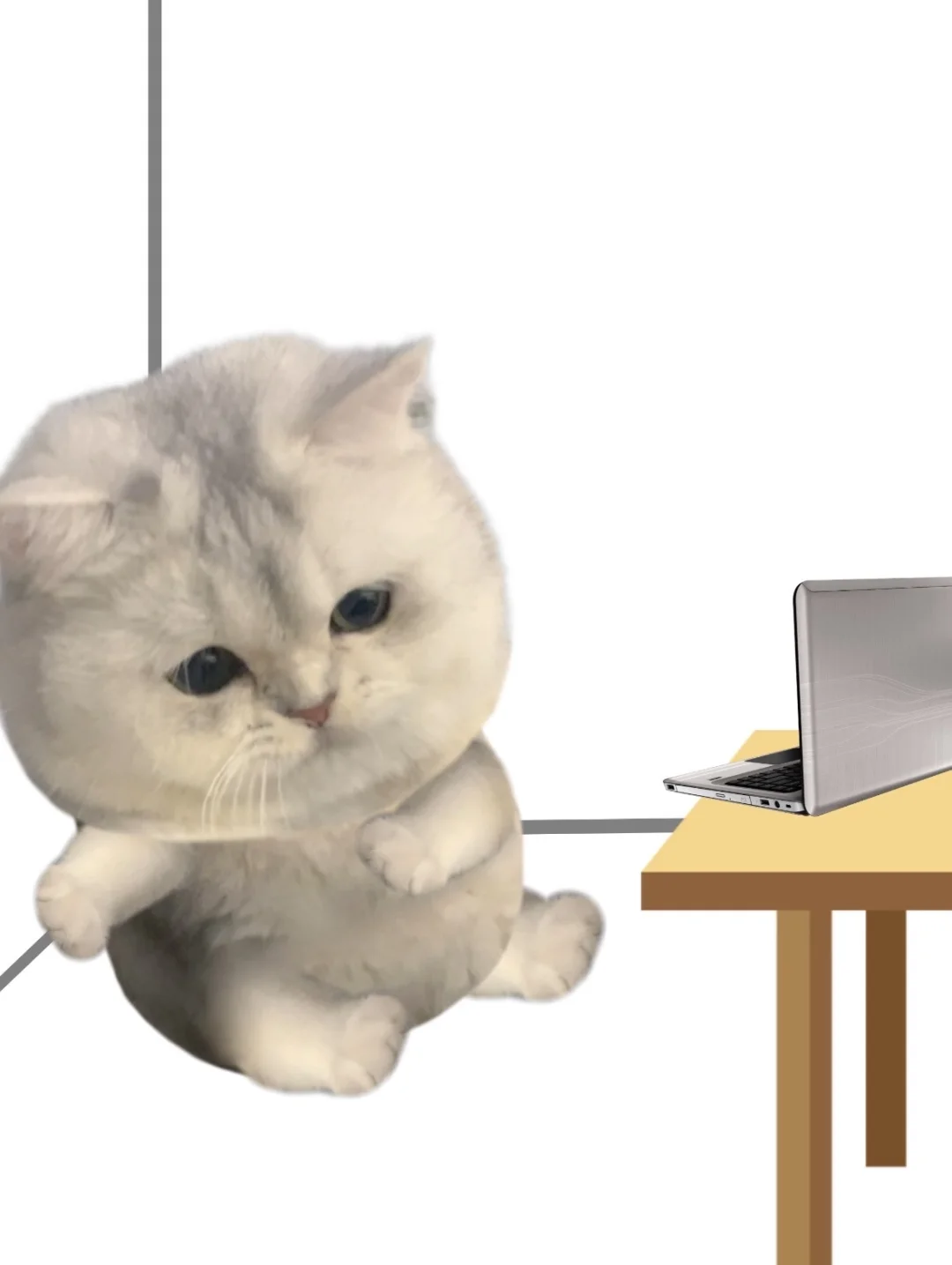 这些表情包用起来命好苦的样子