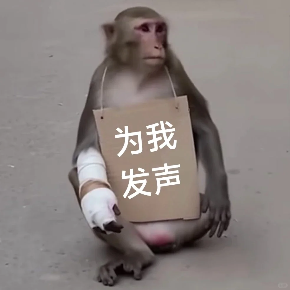 实用表情包合集