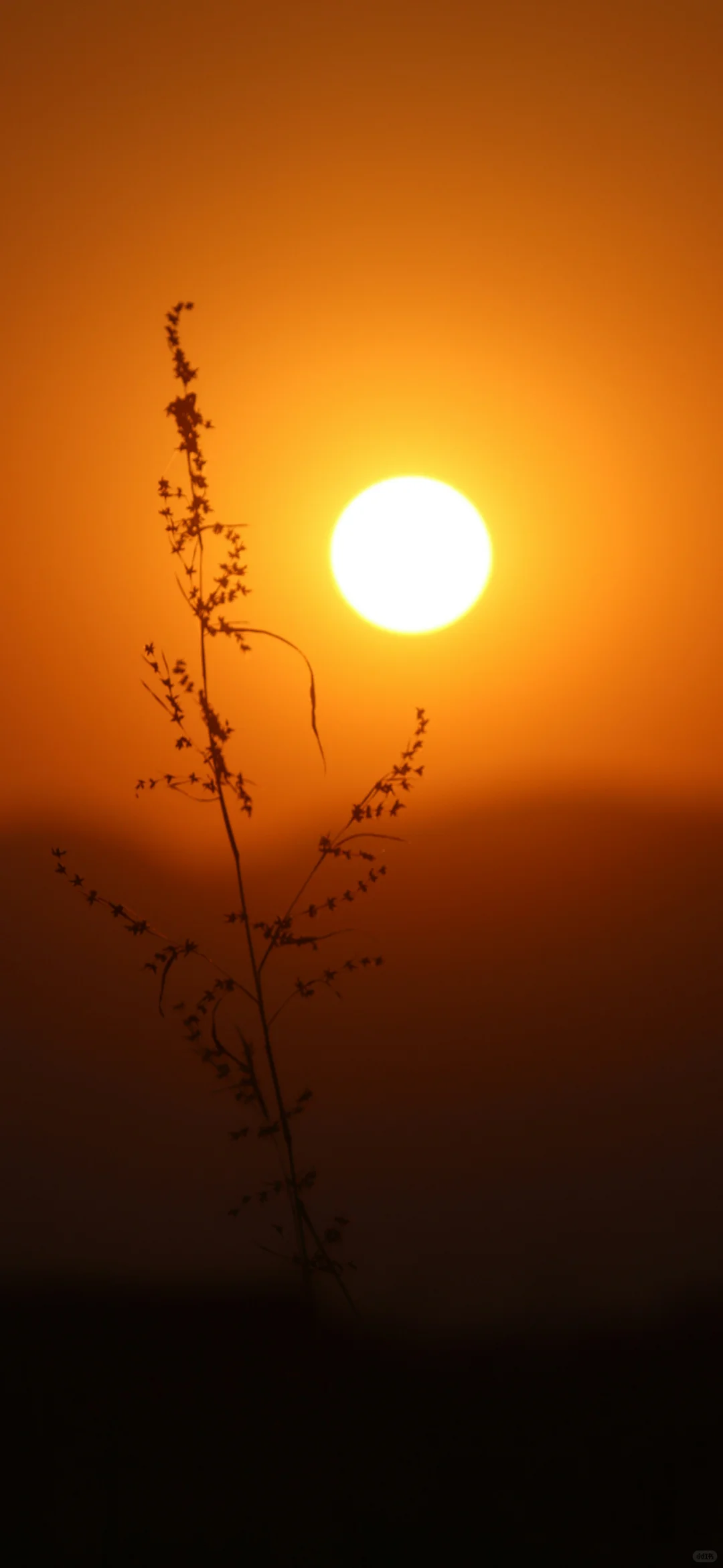 12张高清小众全屏壁纸