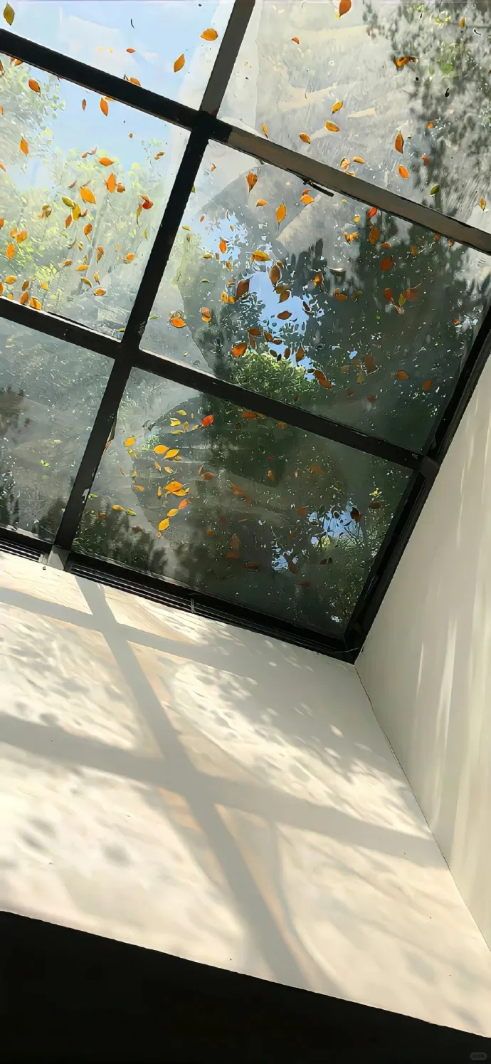 ʚ ·𝐒𝐡𝐚𝐫𝐞 锁屏壁纸