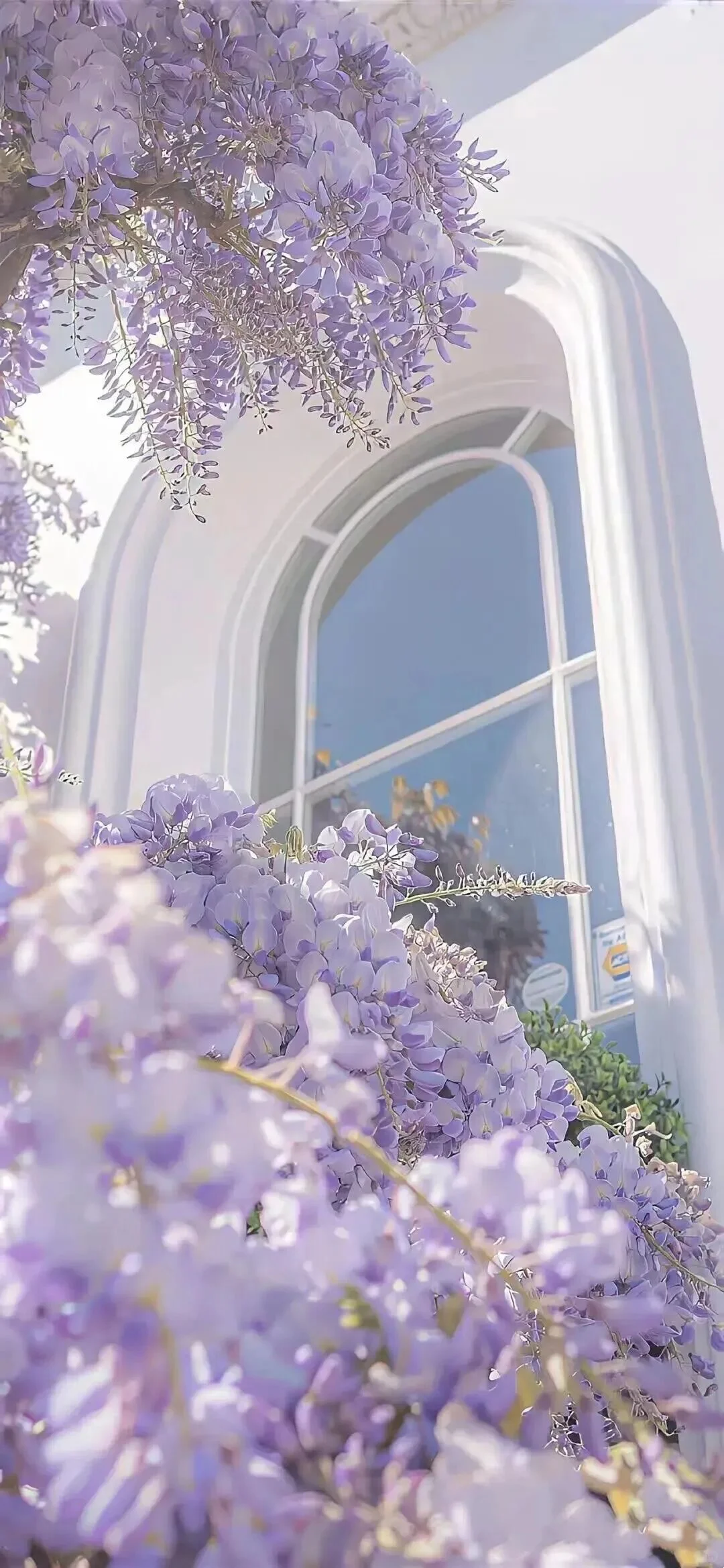 小众背景图/治愈系