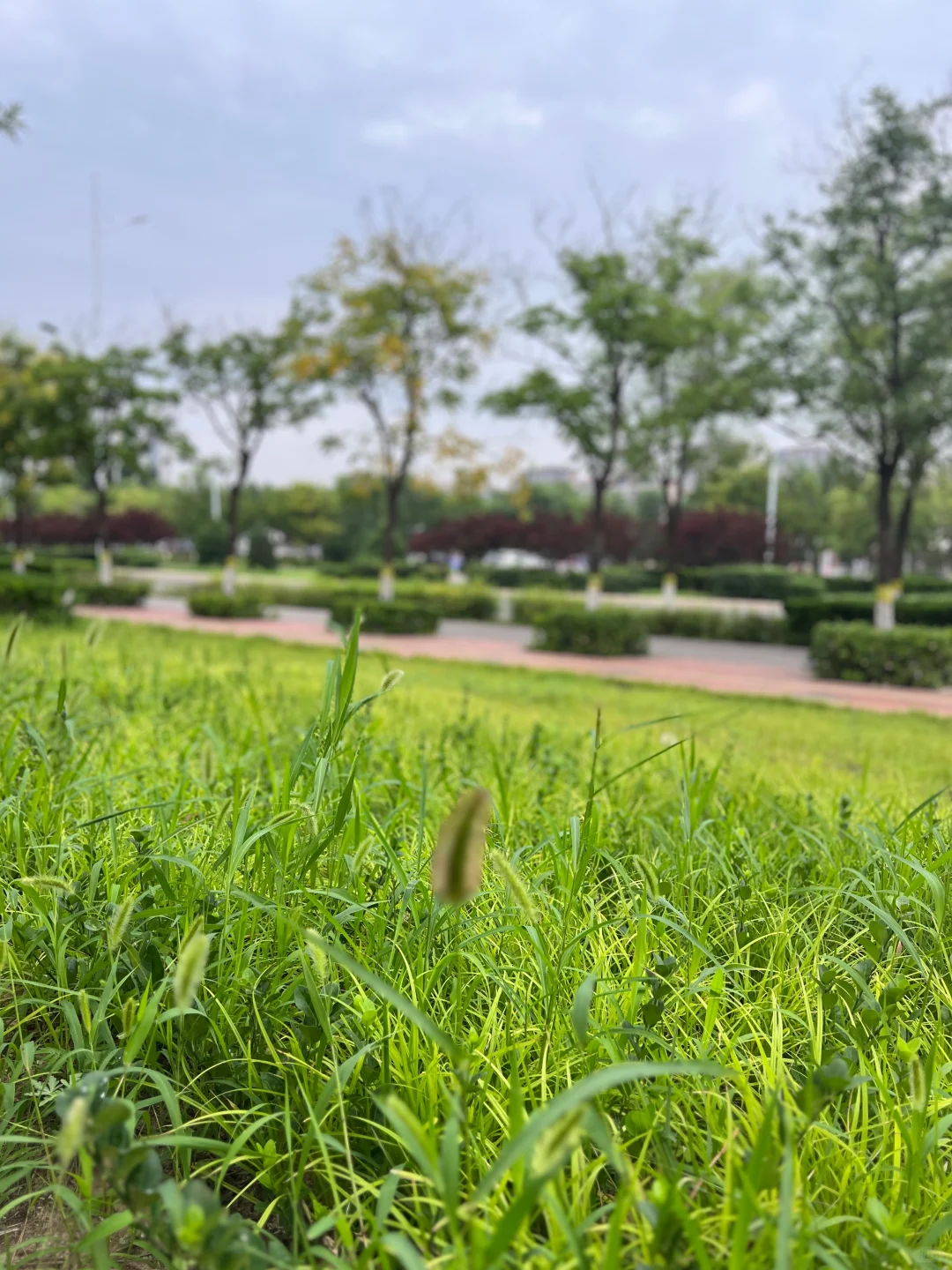 夏天 晨跑🏃‍♀️