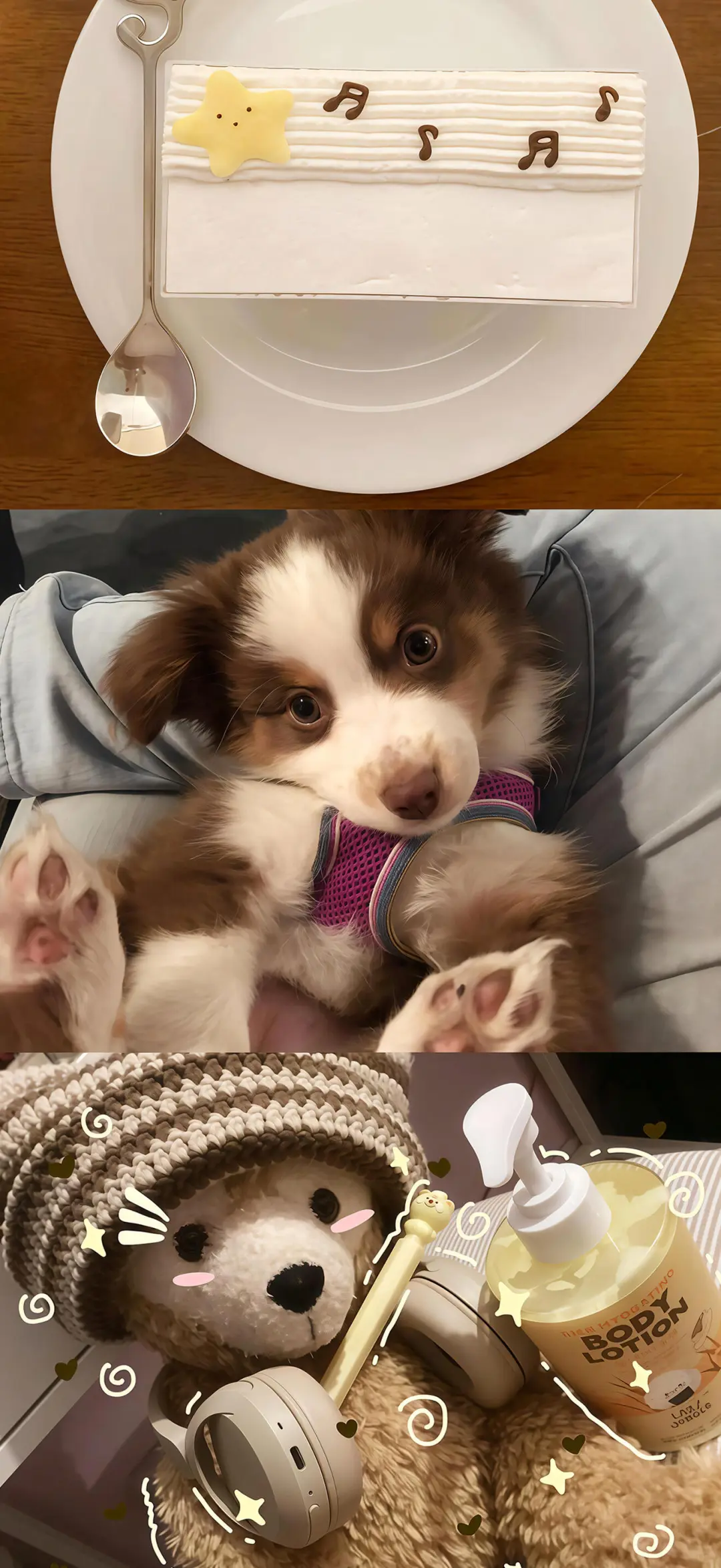 11.21 𝒔𝒉𝒂𝒓𝒆｜拼接风壁纸