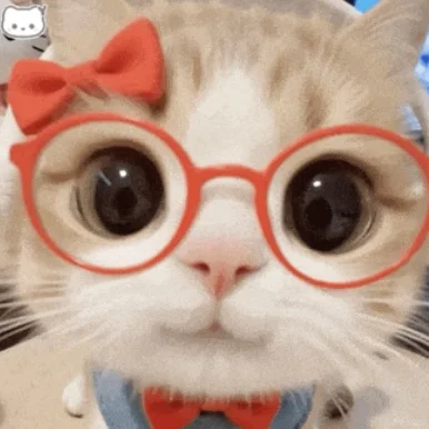 人 晚上嚎～ 你在干森莫🐱