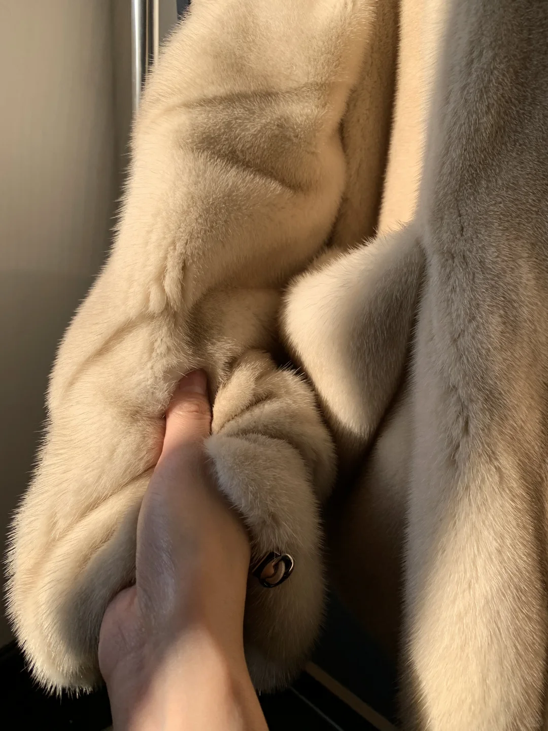 30年梦寐以求的珍宝貂 终于做出来了