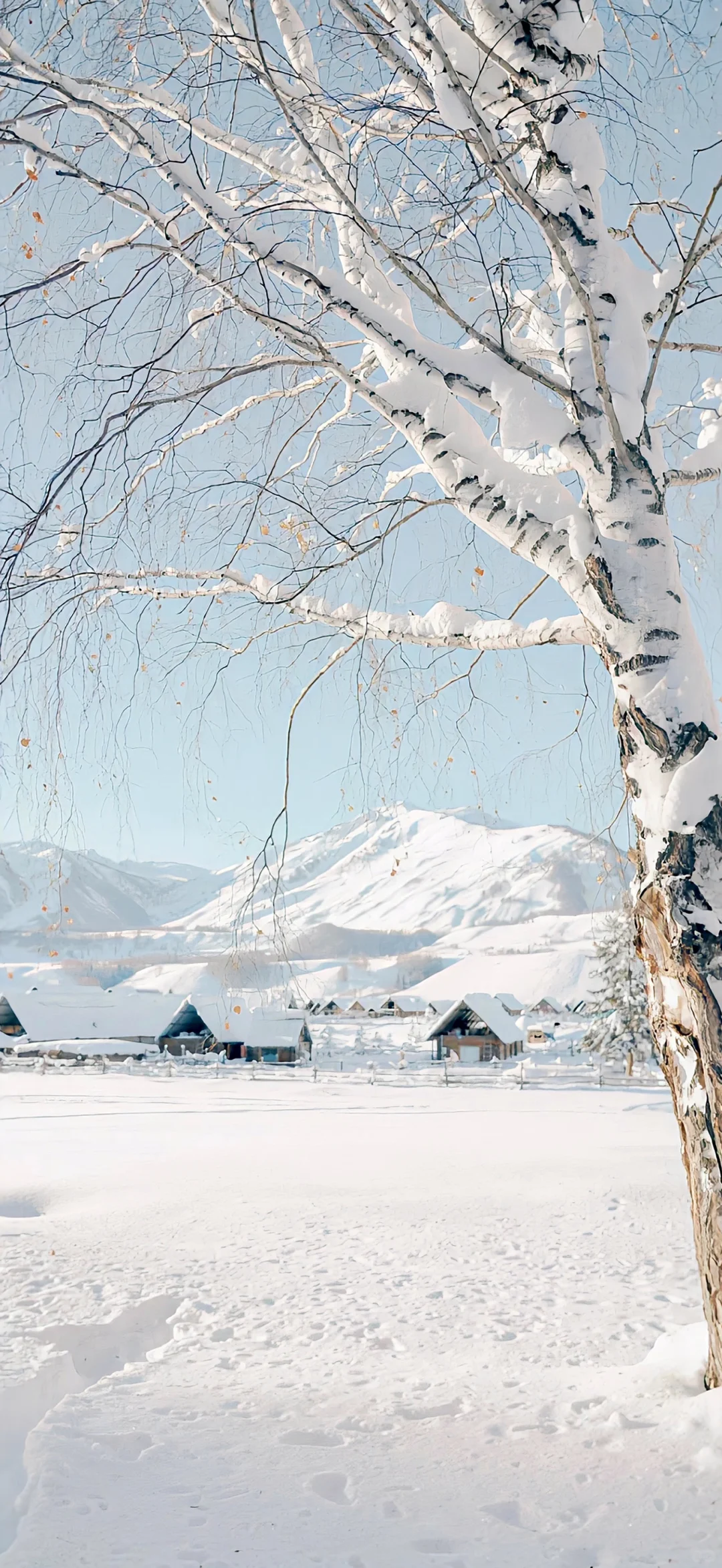 冬日序曲·氛围感壁纸