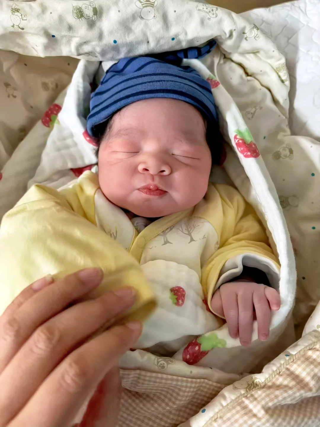 刚出炉的人类幼崽｜头发炸毛的小天使报到✨