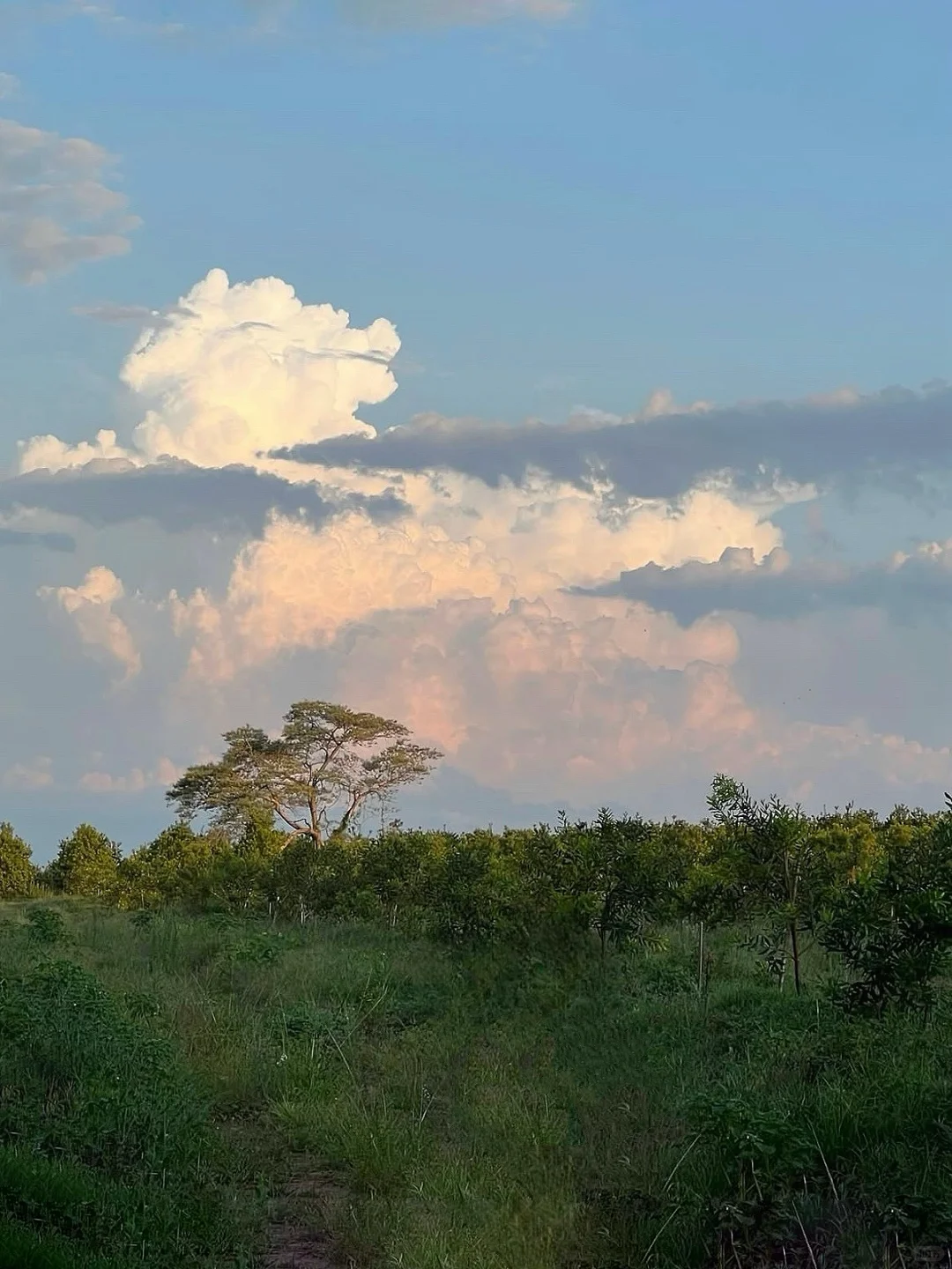 你有一种救赎感