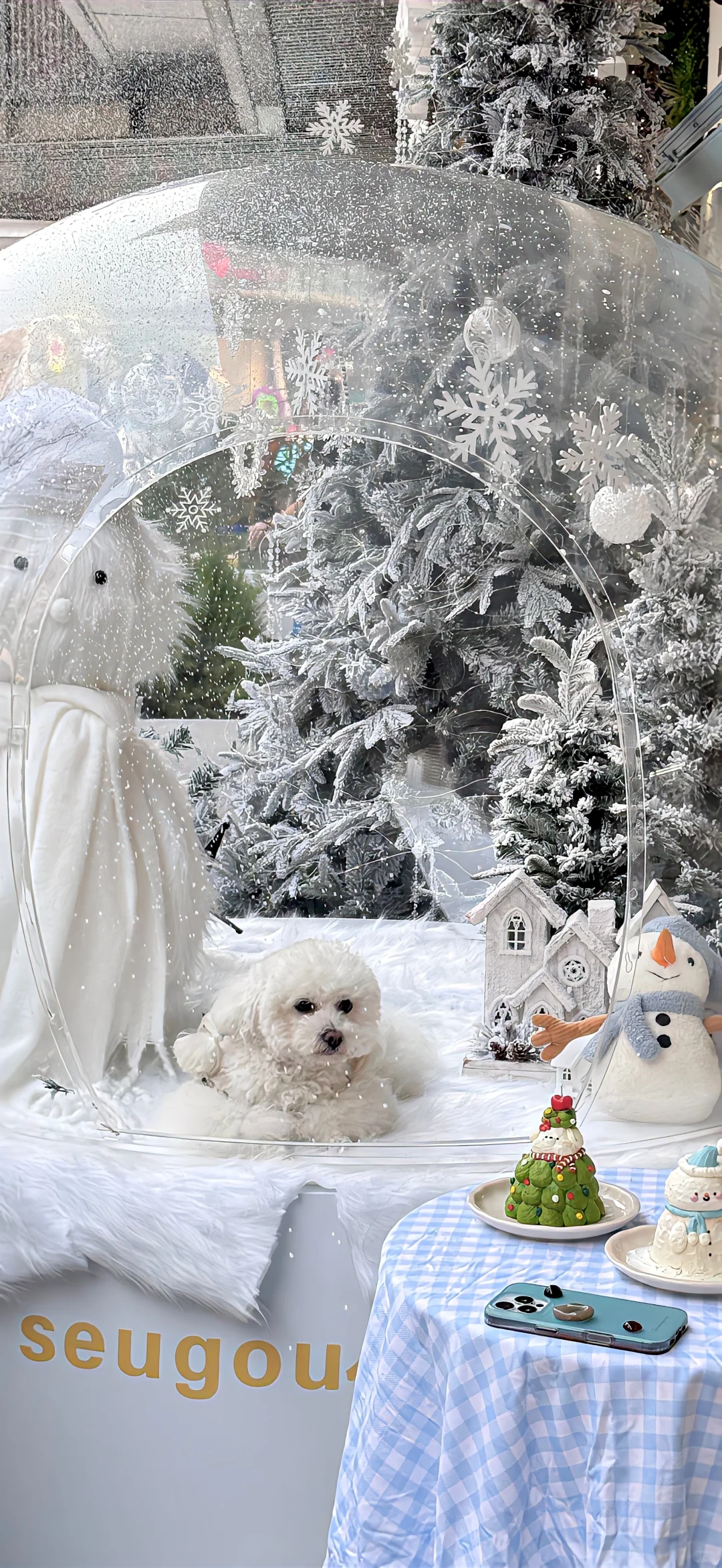 𝐒𝐡𝐚𝐫𝐞丨ins小众壁纸❄️