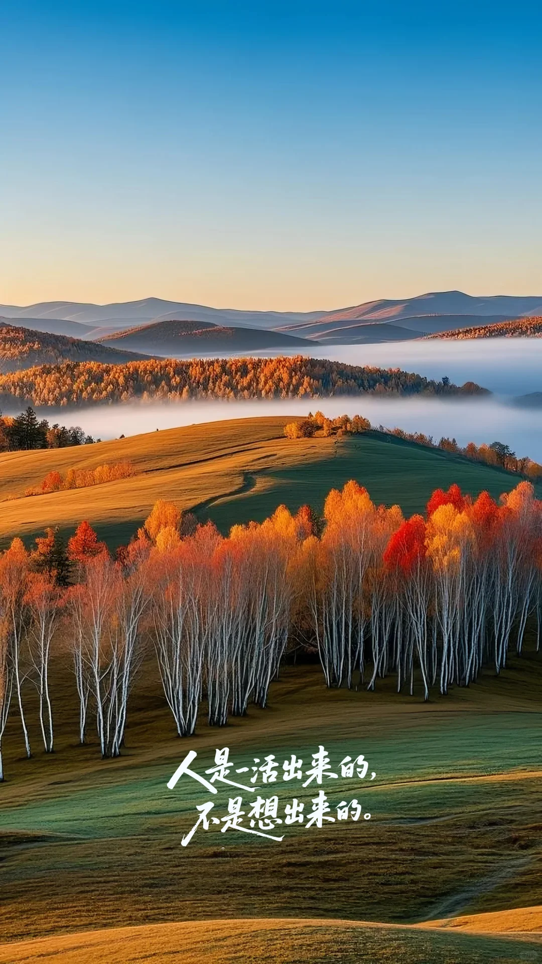 多彩风光与智慧的自然长卷高清壁纸