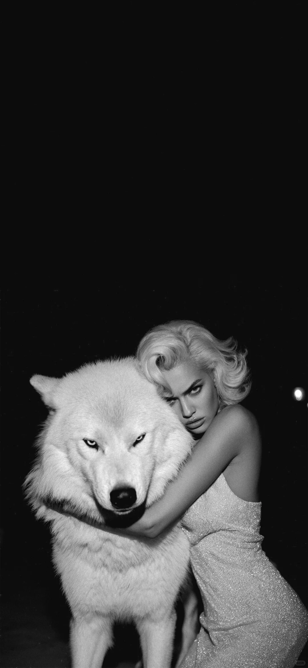 visual feast｜锁屏壁纸