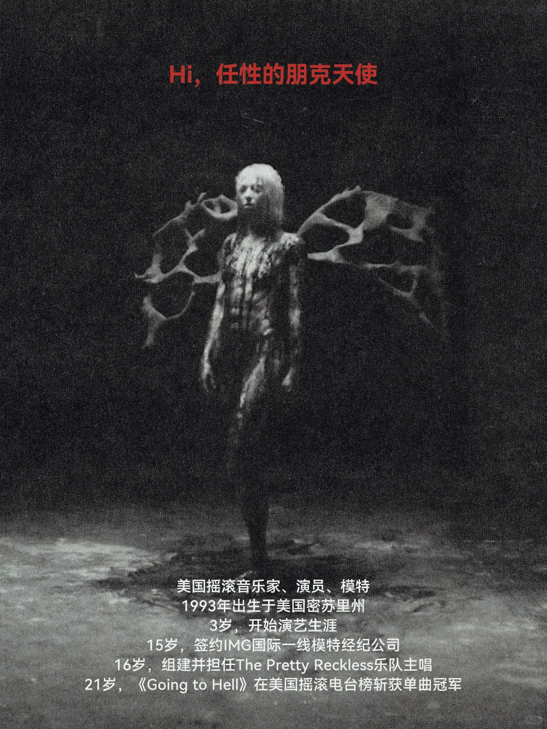 摇滚女诗人画像：朋克与天使