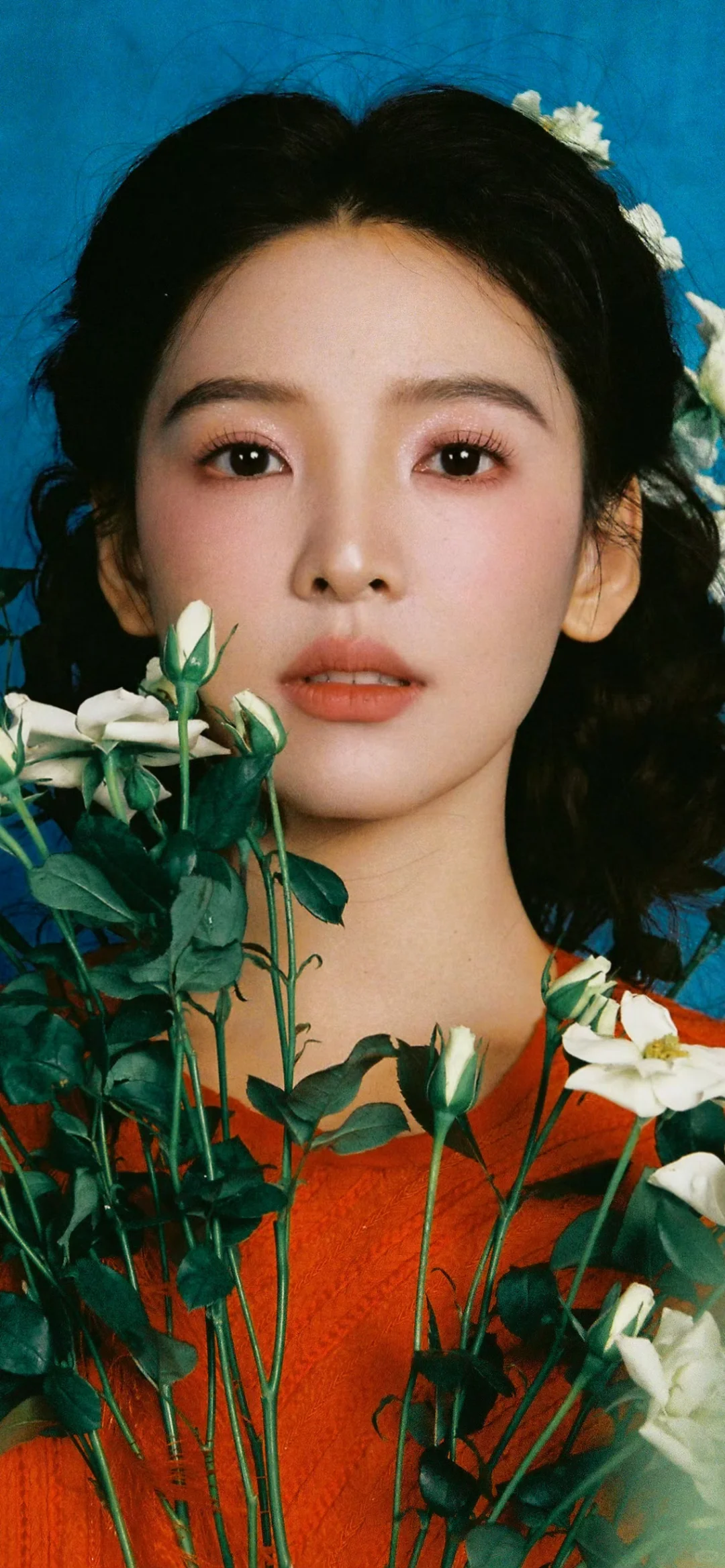 章若楠壁纸！被这组森系写真治愈了🍃