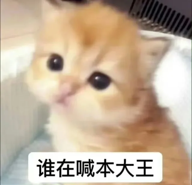 我太爱这种小猫表情包了！5⃣️3⃣️