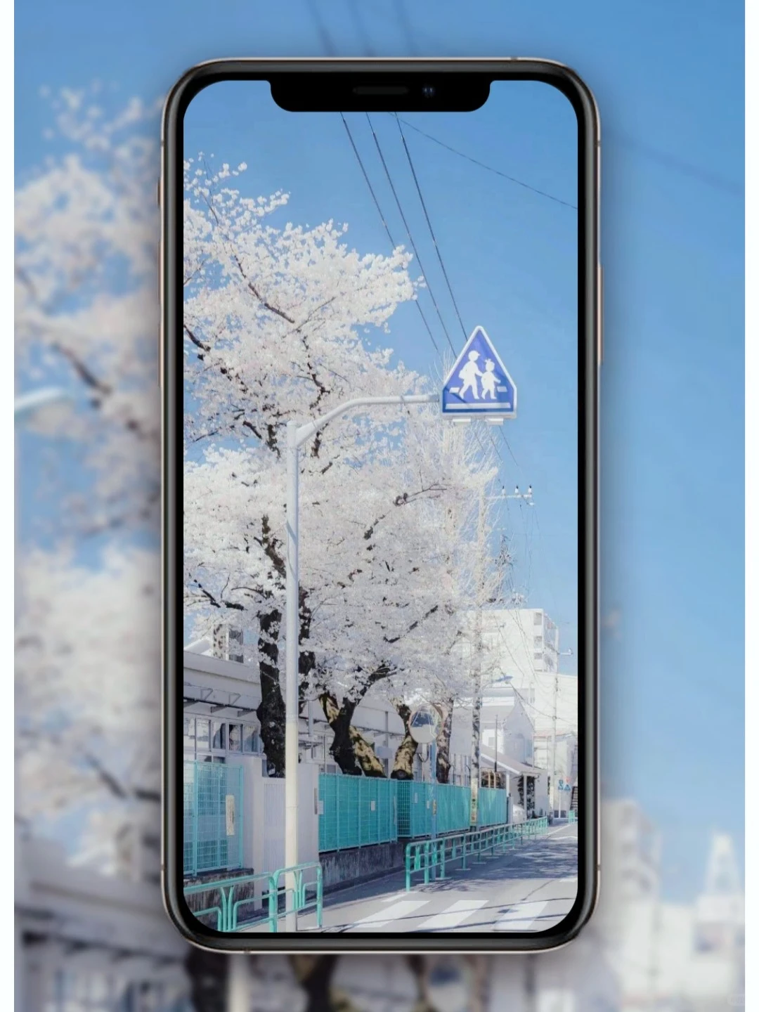 【10期】 日式风治愈系壁纸🌈