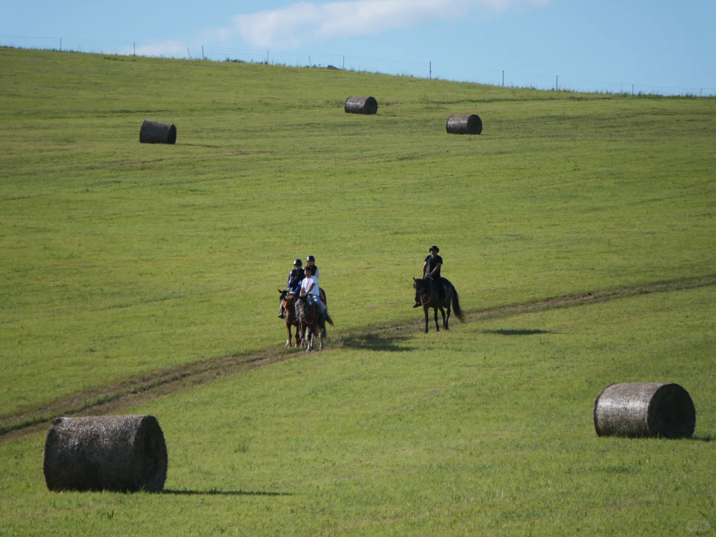 Windows桌面get，牛马牛马～电脑前面你和我～