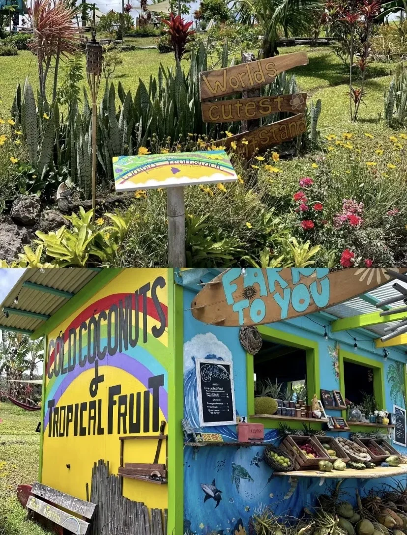 泳衣是给水灵灵的女生穿的吧