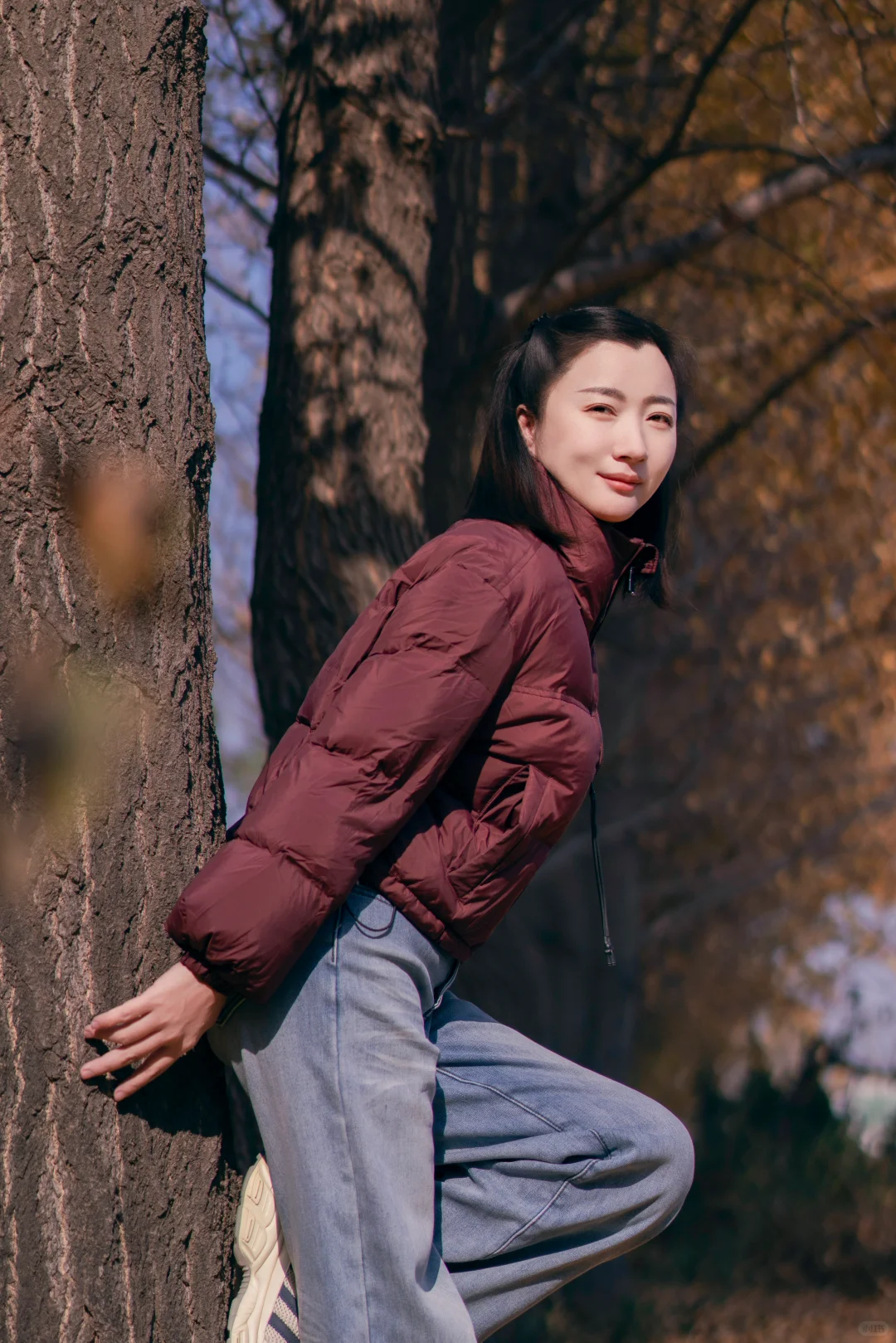 初冬的银杏格外迷人，你拍了吗？