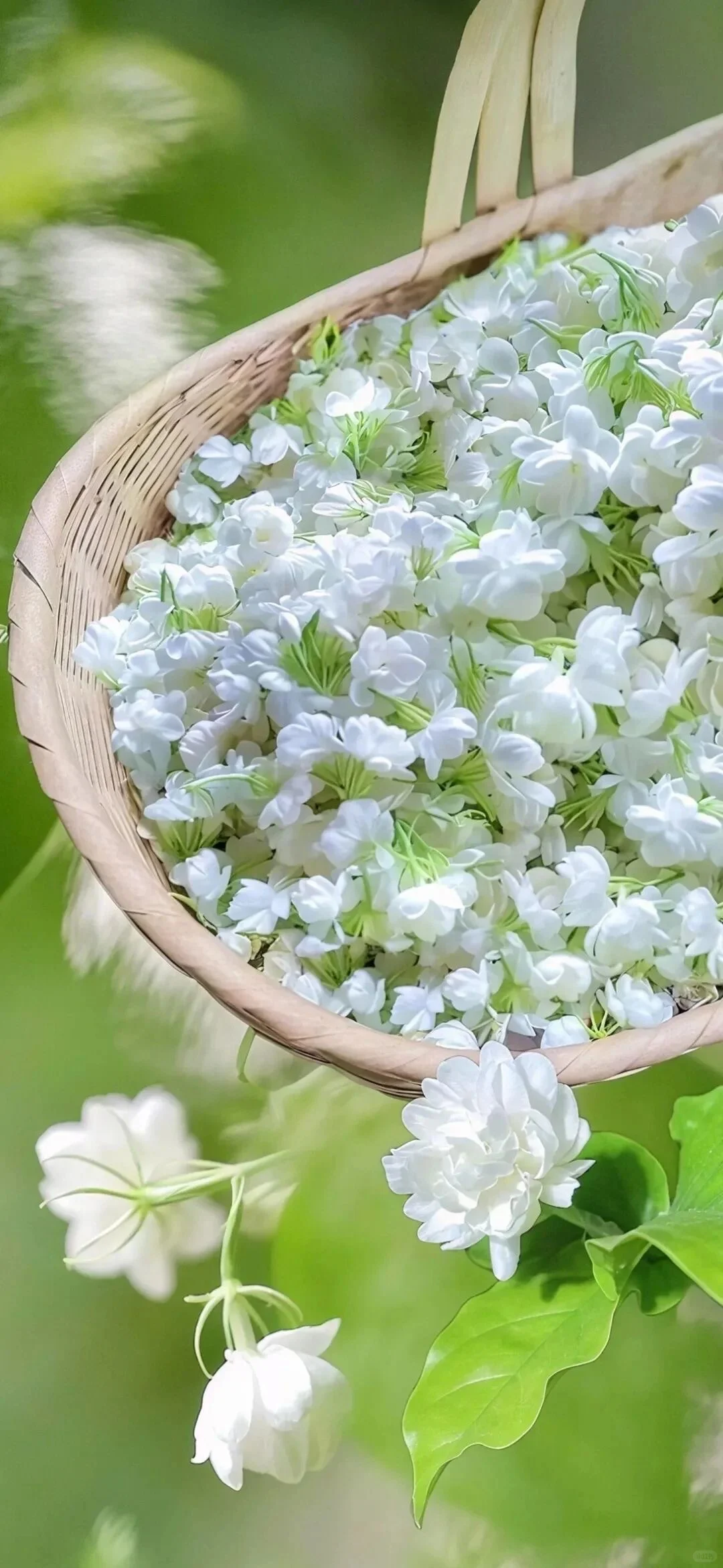 小众背景图/治愈系