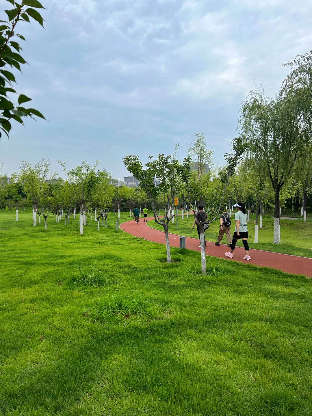 夏天 晨跑🏃‍♀️