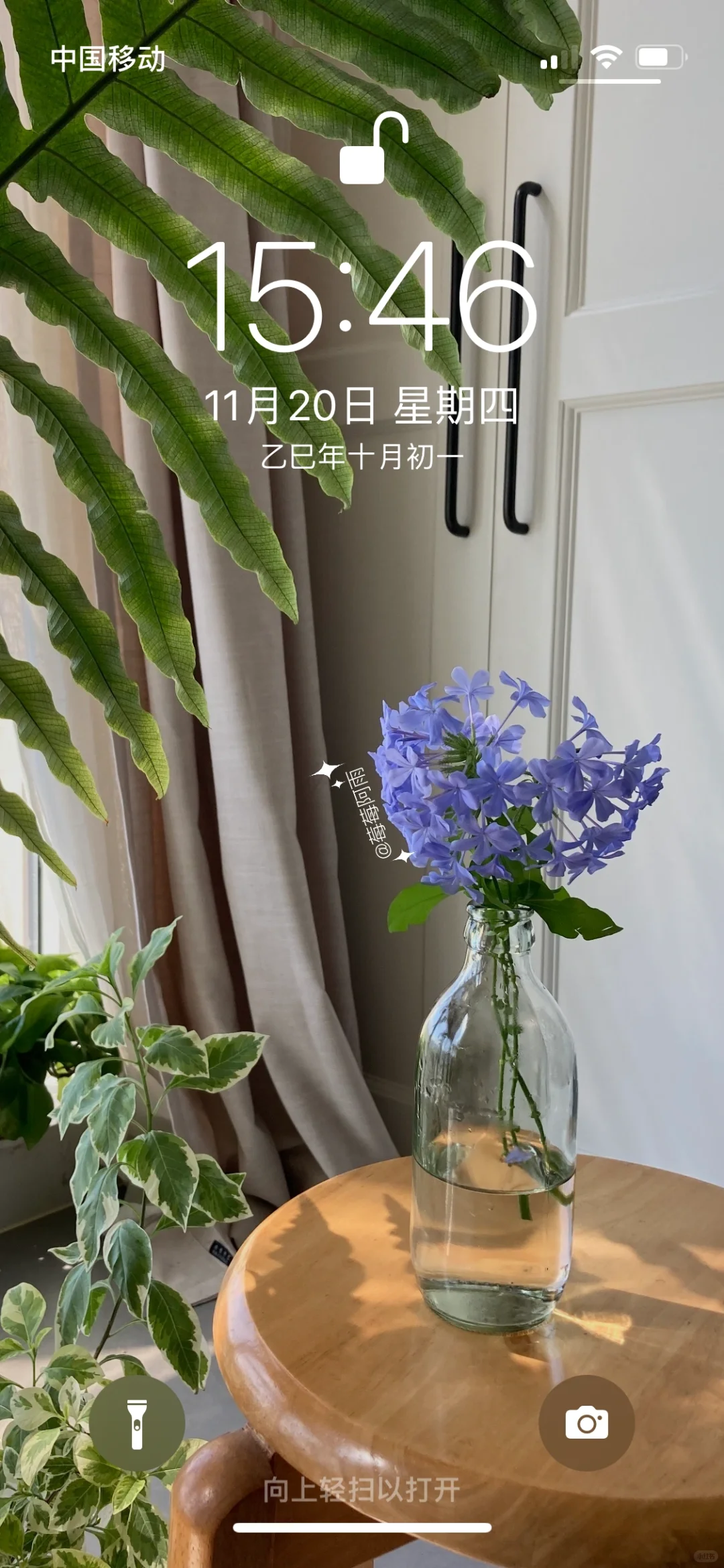 突然好奇 你的手机壁纸也是花吗